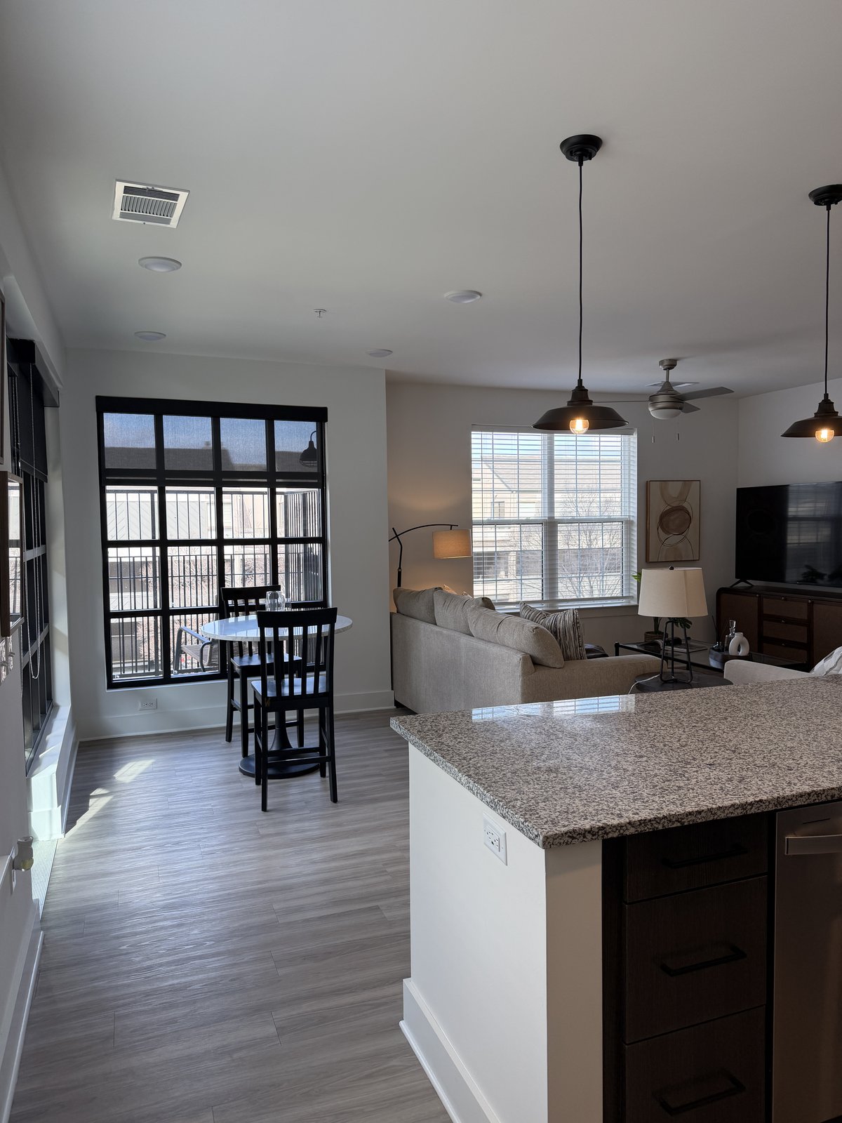 Kitchen and dining area with black frame windows